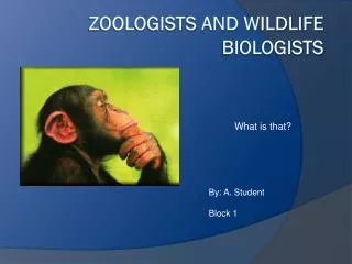 Zoologists and Wildlife Biologists