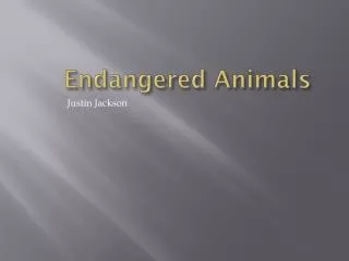 Endangered Animals