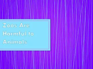Zoos Are Harmful to Animals