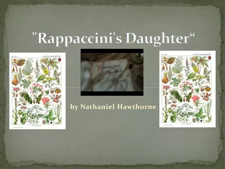 rappaccini s daughter