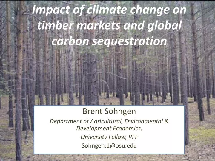 impact of climate change on timber markets and global carbon sequestration