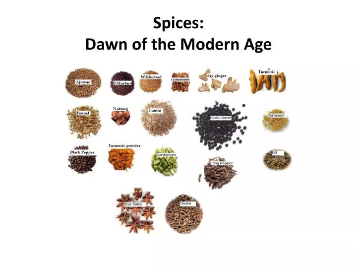 spices dawn of the modern age