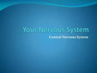 Your Nervous System