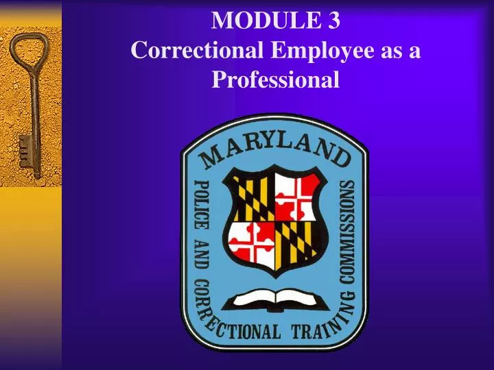 module 3 correctional employee as a professional