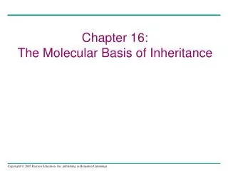 Chapter 16: The Molecular Basis of Inheritance