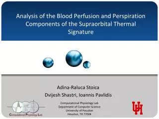 Analysis of the Blood Perfusion and Perspiration Components of the Supraorbital Thermal Signature