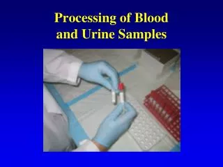 Processing of Blood and Urine Samples