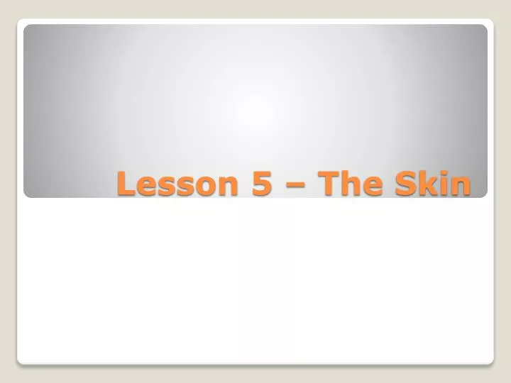 lesson 5 the skin
