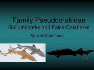 Family Pseudotriakidae Gollumsharks and False Catsharks