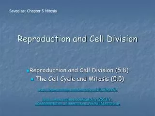 reproduction and cell division