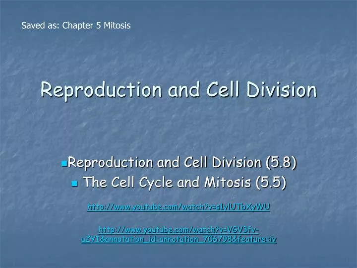 reproduction and cell division