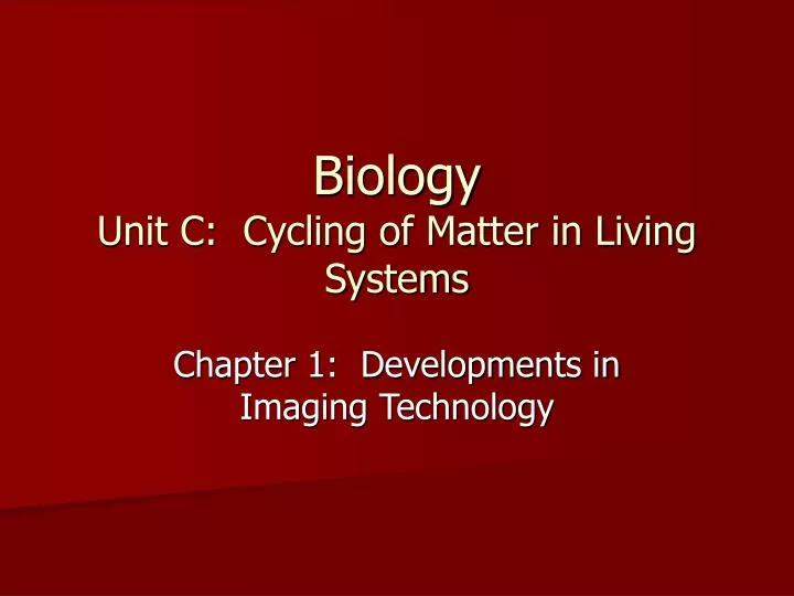 biology unit c cycling of matter in living systems