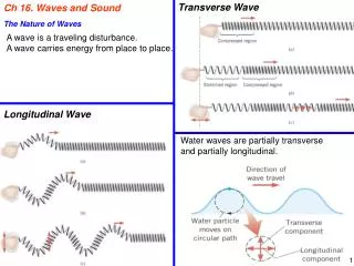 Ch 16. Waves and Sound