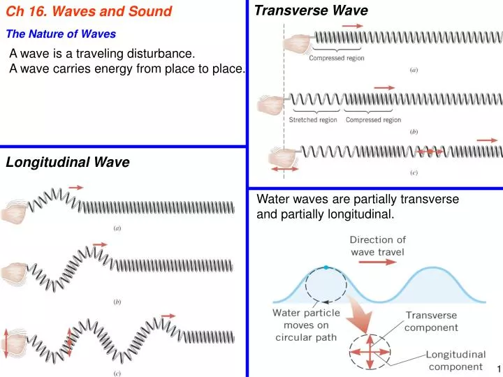 ch 16 waves and sound