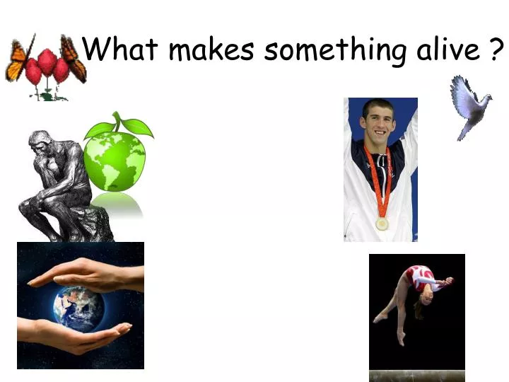 what makes something alive