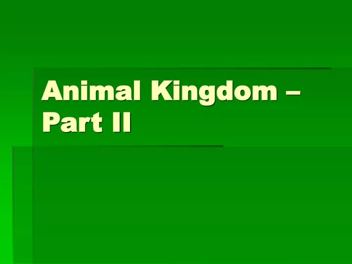 animal kingdom part ii
