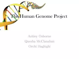 The Human Genome Project