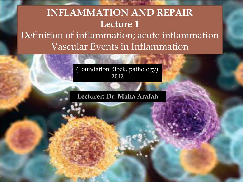 PPT - Inflammation and Repair PowerPoint Presentation, free download ...