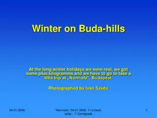 Winter on Buda-hills