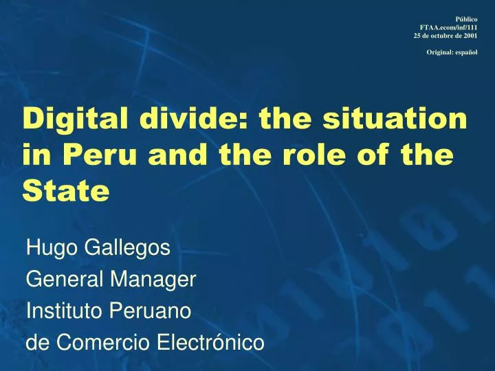 digital divide the situation in peru and the role of the state