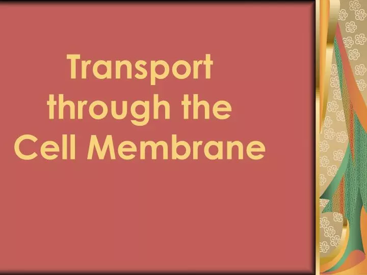 transport through the cell membrane