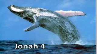 What kind of prophet was Jonah?????