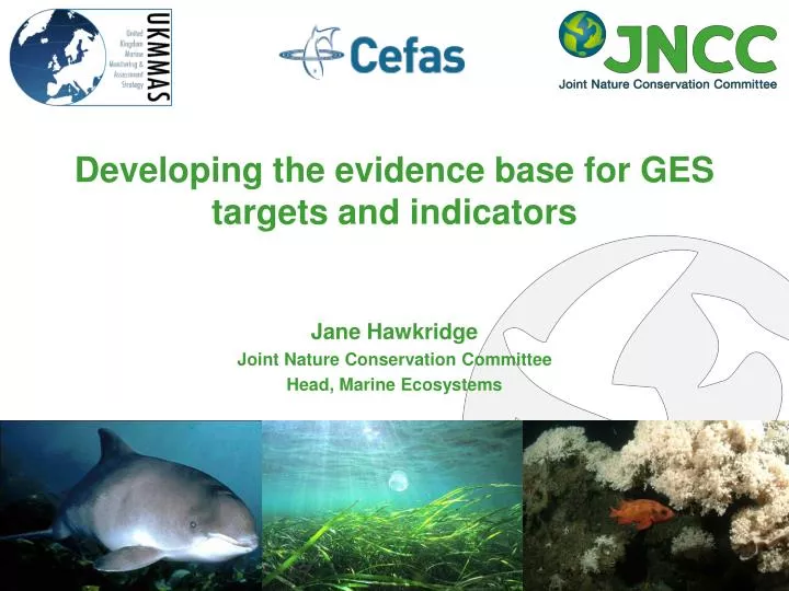 jane hawkridge joint nature conservation committee head marine ecosystems