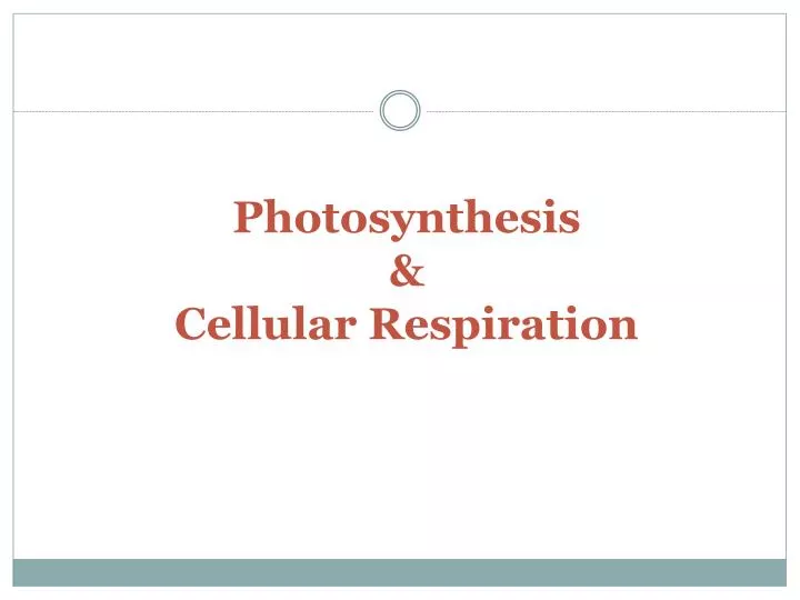 photosynthesis cellular respiration