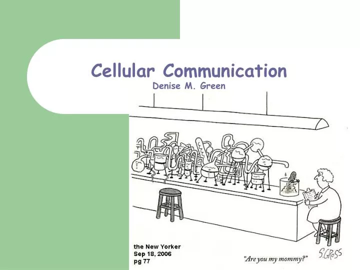 cellular communication denise m green