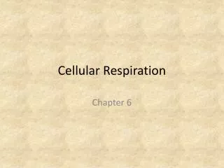 Cellular Respiration