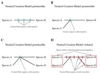 Creation Week sequence valid anywhere