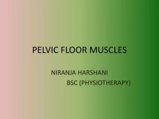 PELVIC FLOOR MUSCLES