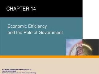 Economic Efficiency and the Role of Government