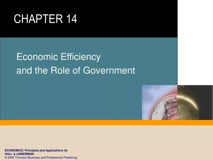 economic efficiency and the role of government