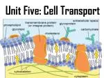 Unit Five: Cell Transport - slide 1