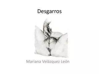 desgarros