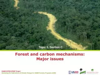 Forest and carbon mechanisms: Major issues