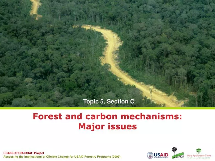 forest and carbon mechanisms major issues