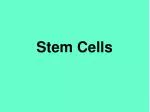 Stem Cells