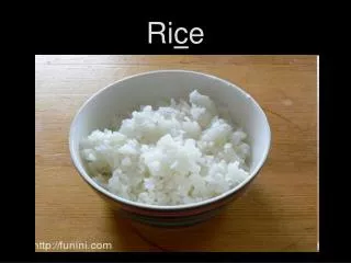 ri c e
