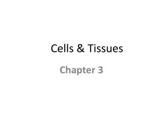 Cells &amp; Tissues
