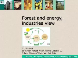Forest and energy, industries view