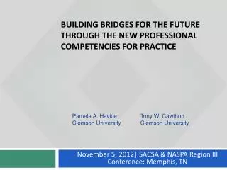 Building Bridges for the Future Through the New Professional Competencies for practice