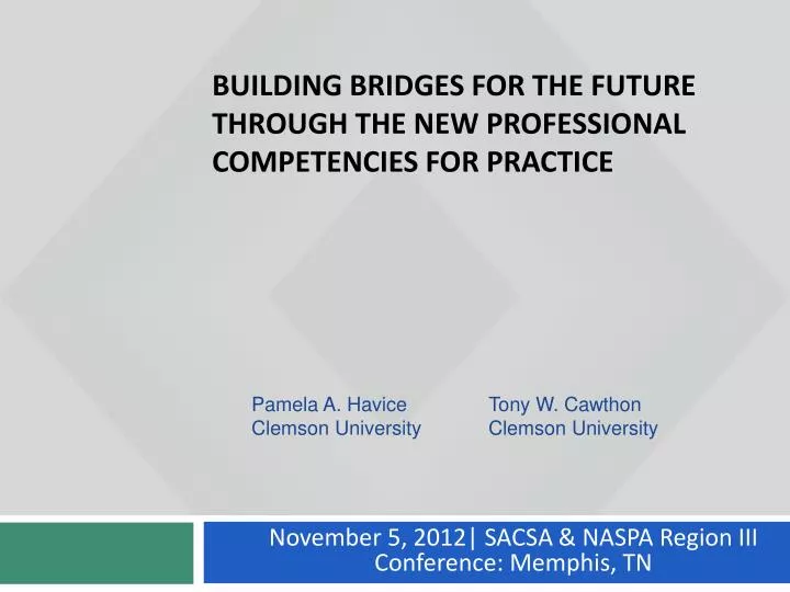 building bridges for the future through the new professional competencies for practice