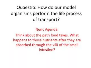 Quaestio: How do our model organisms perform the life process of transport?