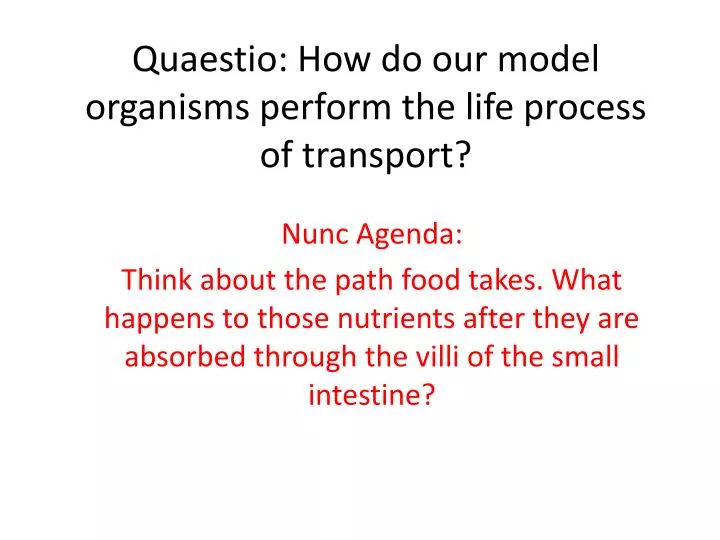 quaestio how do our model organisms perform the life process of transport