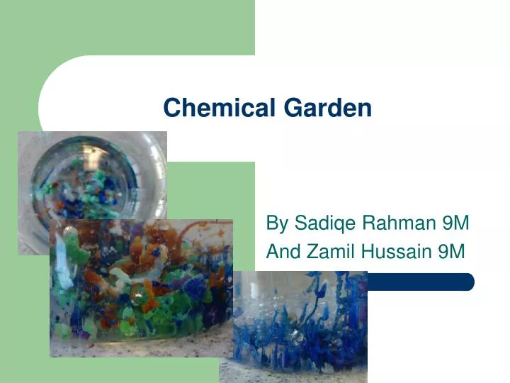 chemical garden