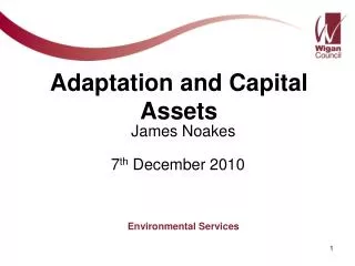 Adaptation and Capital Assets