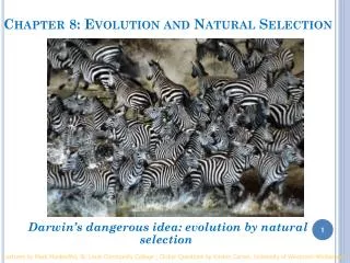 Chapter 8: Evolution and Natural Selection