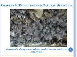 Chapter 8: Evolution and Natural Selection - slide 1
